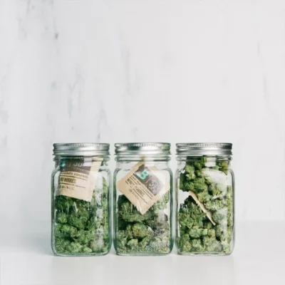 Boveda 58% Humidity Pack - Beast-Garden