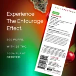 Clean AF 500 puffs Cherry kush – Image 3