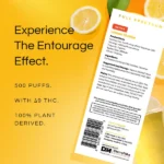 Clean AF 500 puffs Lemon slushie – Image 3