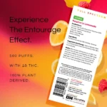 Clean AF 500 puffs Rasberry lemonade – Image 3