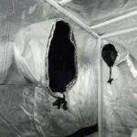 GREENCUBE - G-PRO Diamond 100x100x200 – Image 6