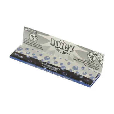 Juicy Jay’s Blueberry KS slim - Beast-Garden