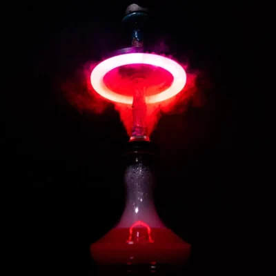 TRIBUS | Spectrum V2 | LED charcoal plate UFO ring - Beast-Garden