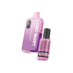 Lost Mary BM6000 Blueberry Sour Raspberry