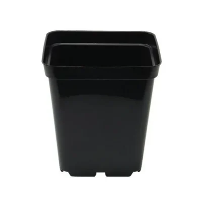 Square Pot 0.25 lt