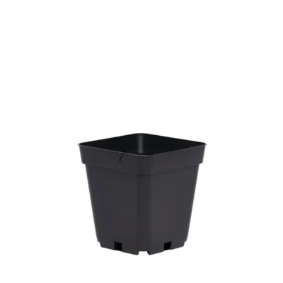 Pot Carré 1 lt