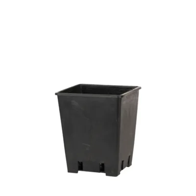 Square Pot 1.4 lt