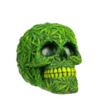 Tirelire Crâne Feuille