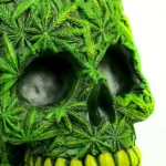 Tirelire Skull Leaf – Bild 3