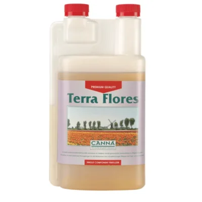 Canna Terra Flores