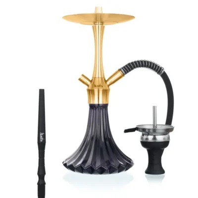 Aladin – MVP A36 Gold – Black - Beast-Garden