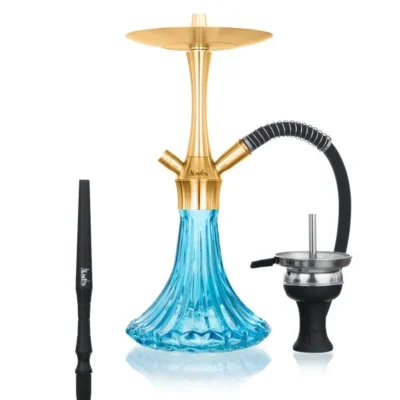 Aladin – MVP A36 Gold – Light blue - Beast-Garden
