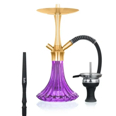 Aladin – MVP A36 Gold – Purple - Beast-Garden