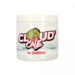 CLOUDE ONE 200g - 16 Queens