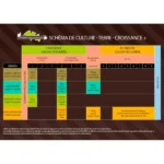 GuanoDiff Classic's 1kg – Image 3