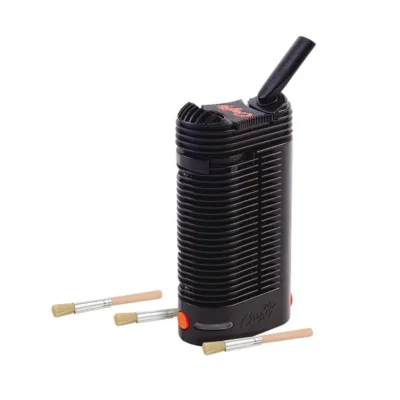 Pack of 3 Cleaning Brushes - Beast-Garden